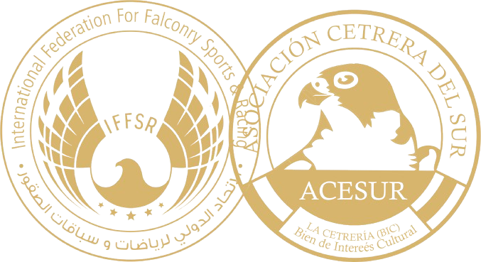 Logotipo ACESUR